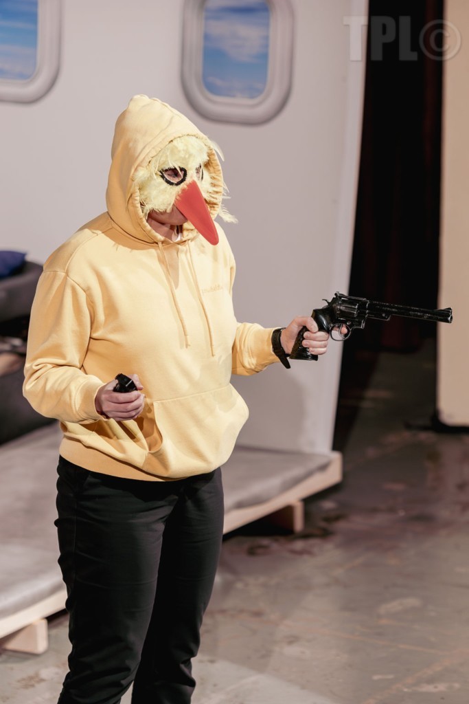 Promis juré crashé